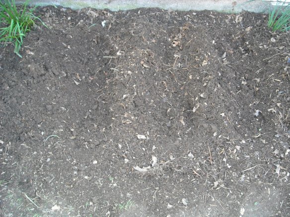 Preparing the Asparagus Bed