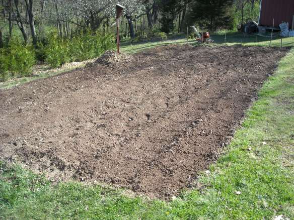 The completed potato patch.