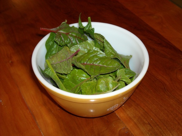 A bowl of spinach and swiss chard.