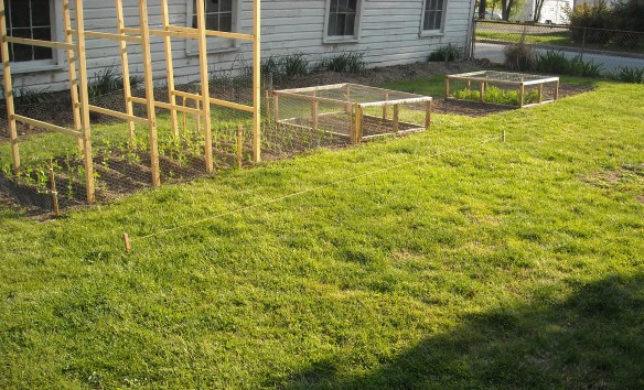 Laying out the new garden plots.