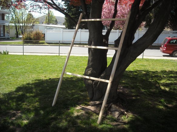 Completed pea fence.