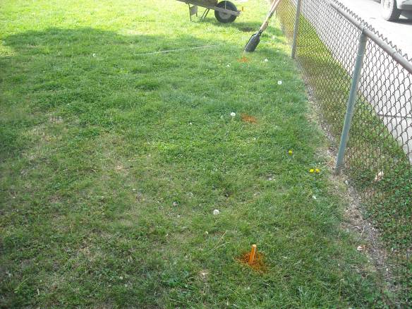 Laying out the trellis.