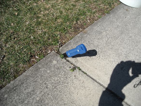 Tile cutter tool removing weeds from a sidewalk crack.