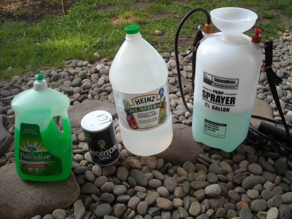 Ingredients for homemade weed killer.