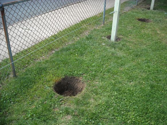 Hole for planting an apple tree.