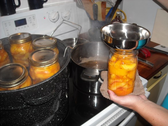 Filling jars of peaches for canning.