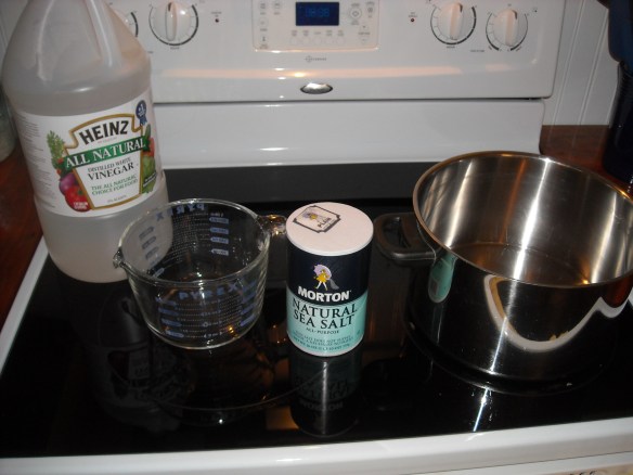 The ingredients for the pickle solution.