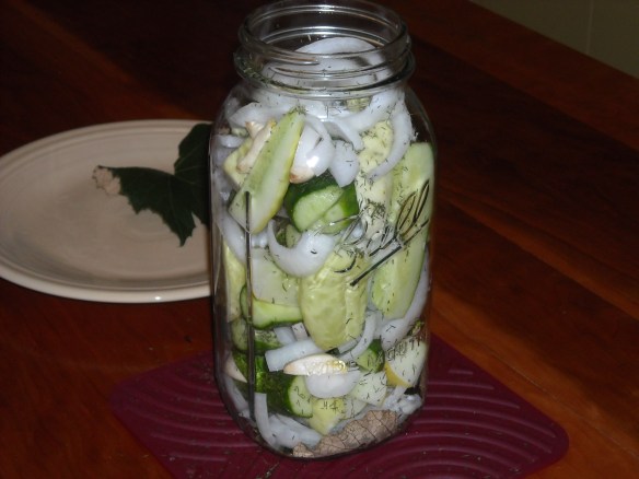 Ingredients packed in the jar.