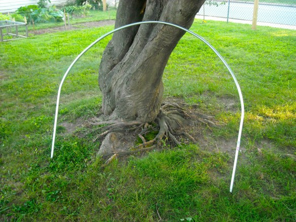 A piece of conduit bent for a low tunnel frame.