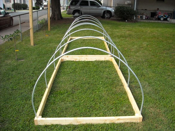 Completed low tunnel.