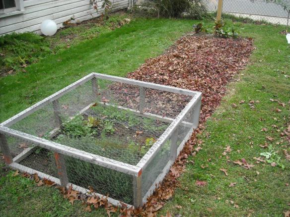 Winter Garden bed covered in leaves.