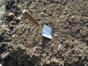 Garden Trowel in Soil