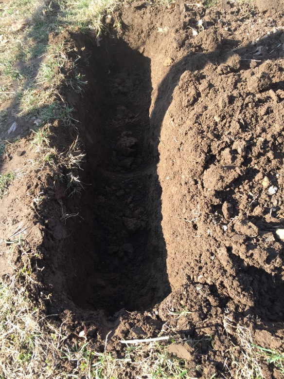 Double digging trench