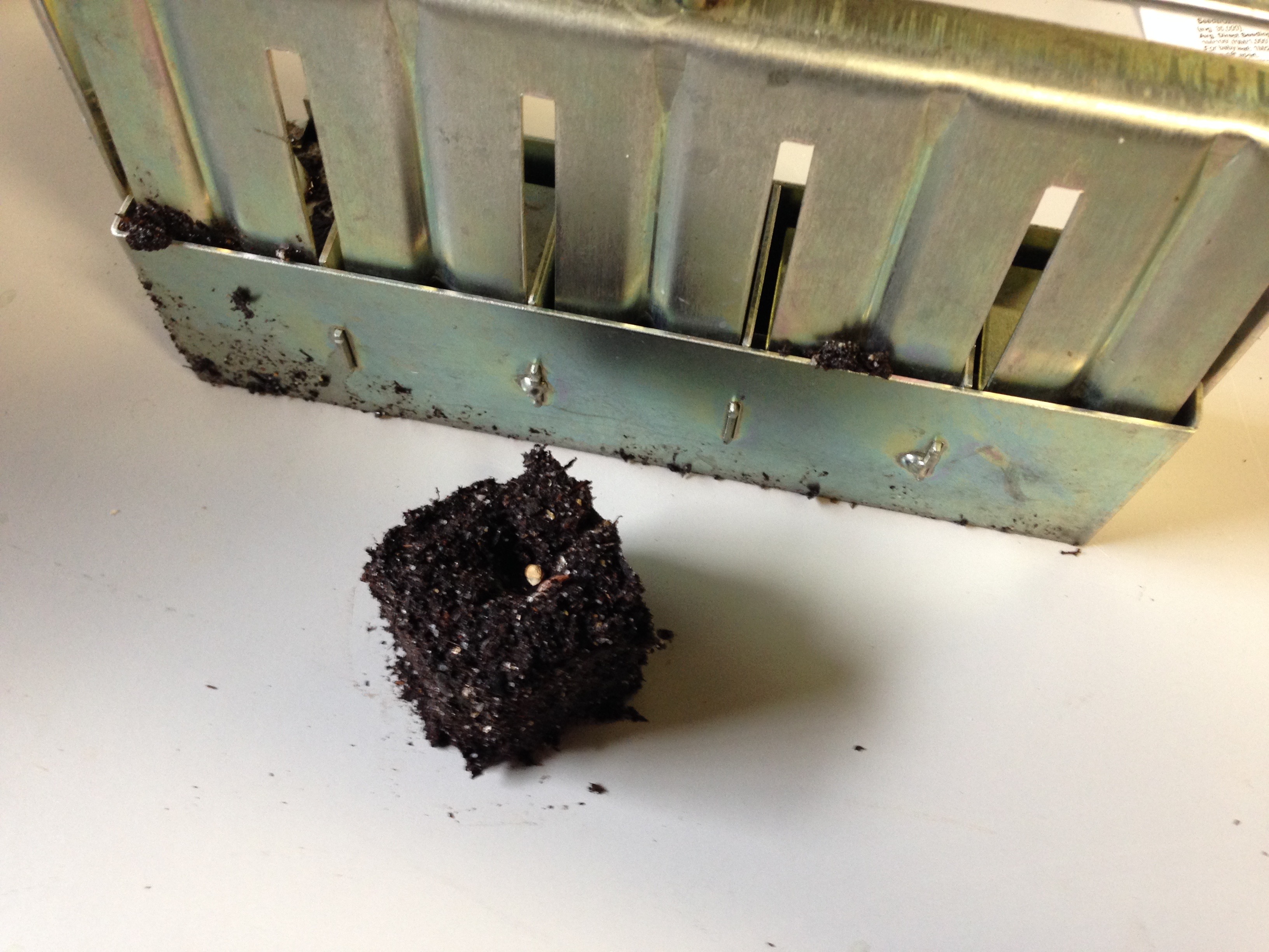 Soil block with seed in it.