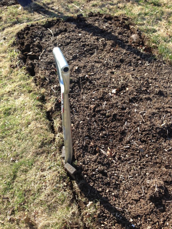 Garden Spade Edging a Garden Bed
