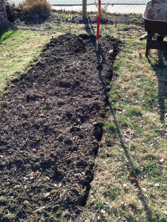 Edged garden bed with shovel